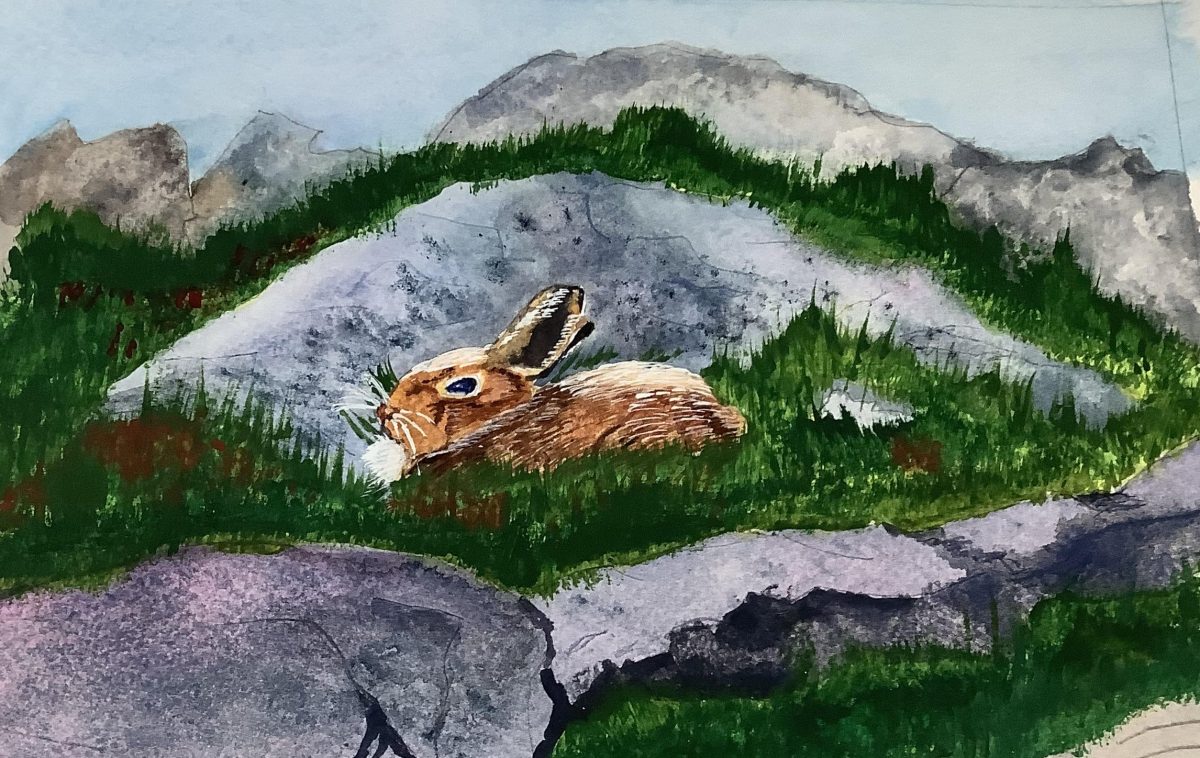 Frances, Bunny Rabbit - A Watercolour Painting - Christina French