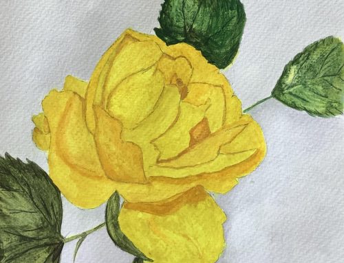 Frances, Yellow Rose – A Watercolour Painting