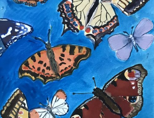 Beautiful Butterflies – A Watercolour Painting