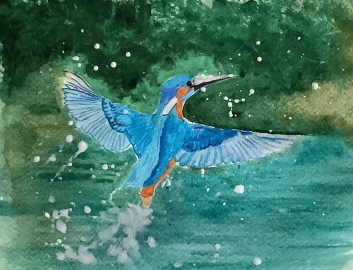 Frances – Kingfisher – A Watercolour Painting