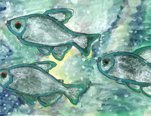 Shiny Fish – A Watercolour Painting, 29th February 2024